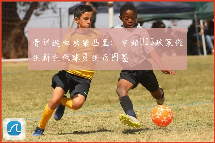 青训造血功能凸显：中超U23政策催生新生代球员生存图鉴