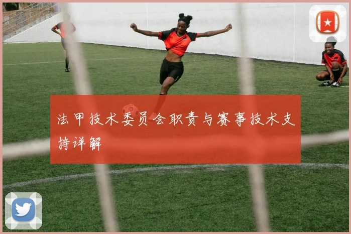 法甲技术委员会职责与赛事技术支持详解