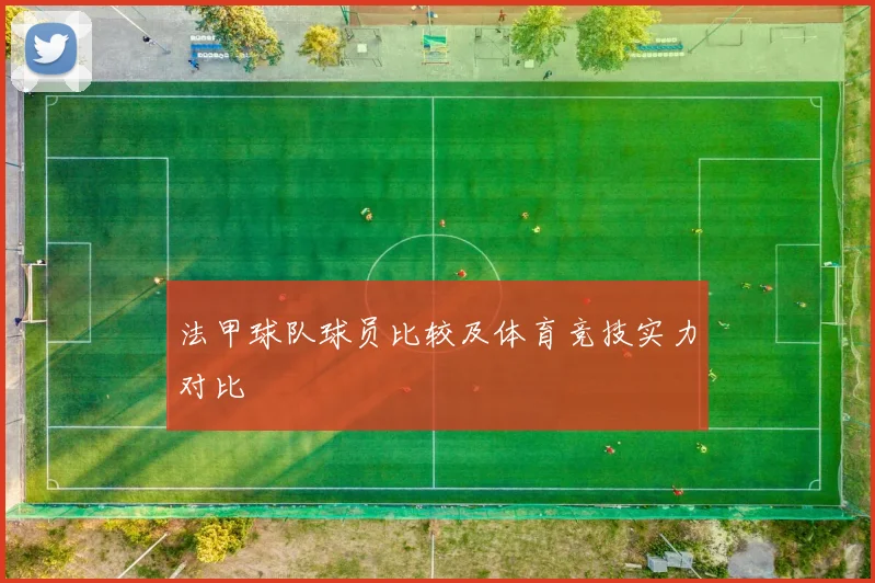 法甲球队球员比较及体育竞技实力对比